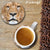 Portrait of Lion Coasters-Image2