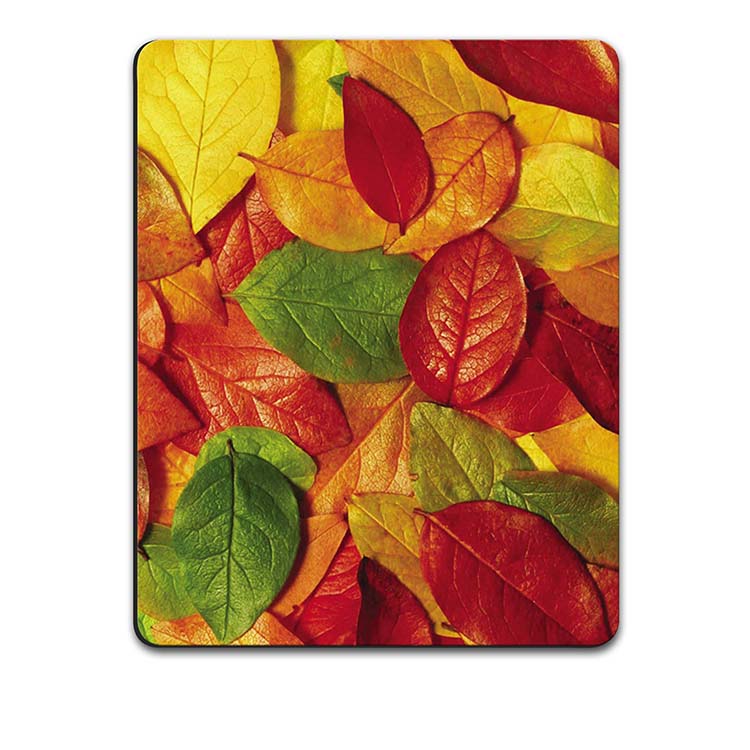 Fallen Leaves Mouse Pad